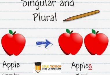 SINGULAR-to-PLURAL Latest by Stud Mentor