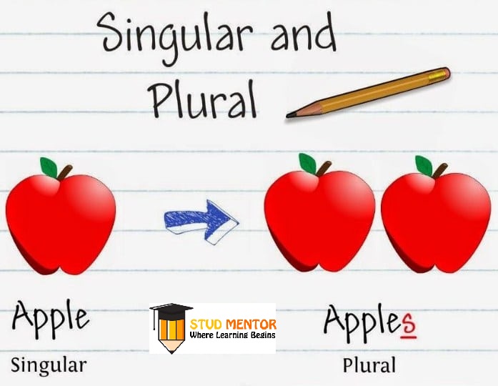 SINGULAR-to-PLURAL Latest by Stud Mentor