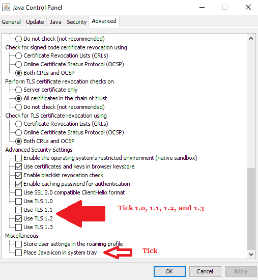 Configure JAVA for DSC Enrollment - In Advanced Tab Fill the Details