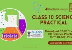 Download CBSE Class 10 (X) Science Practical form OLABS 2022