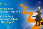 Starting your Salesforce career – will you be a Salesforce Admin or Developer