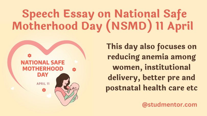 safe motherhood essay