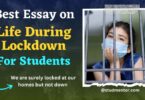 Best Essay Paragraph on Life During Lockdown for Students 2023