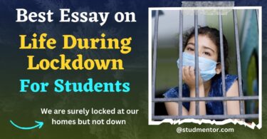 Best Essay Paragraph on Life During Lockdown for Students 2023