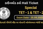 Special TET - 1 and TET 2 Admit Card, Call letter, Hall Ticket Download Link 2023