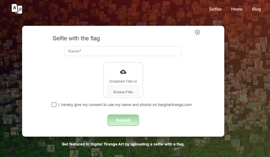 Step 3 enter the details and upload your selife with flag